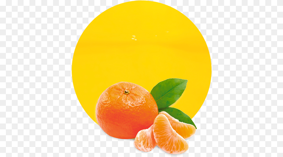 Comwp Juice Nfc Shampoo Hempseed By The Wonder Seed, Citrus Fruit, Food, Fruit, Grapefruit Png Image