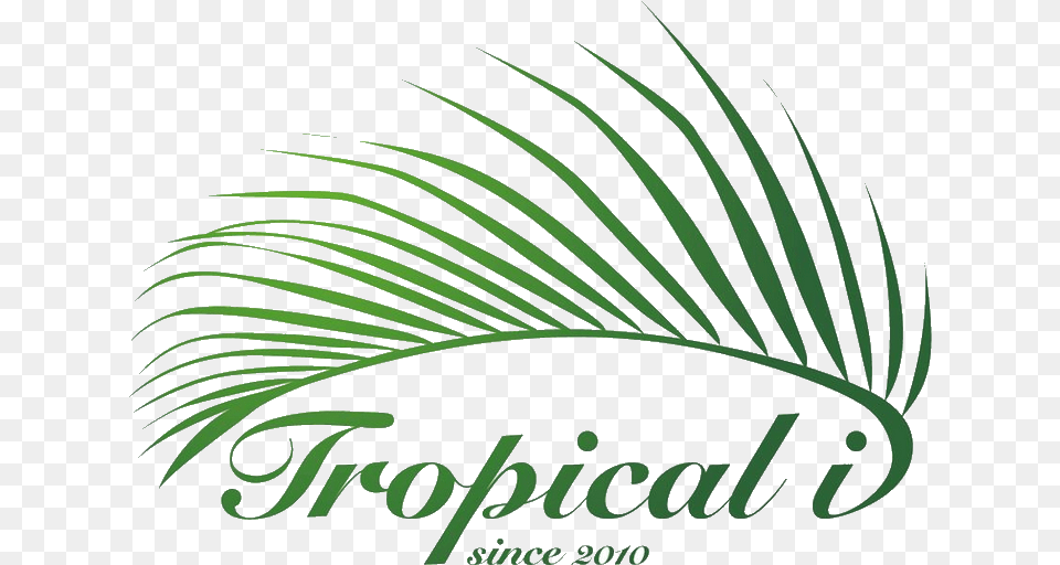 Comwp Tropical I Sdn Bhd, Green, Plant, Leaf, Vegetation Png