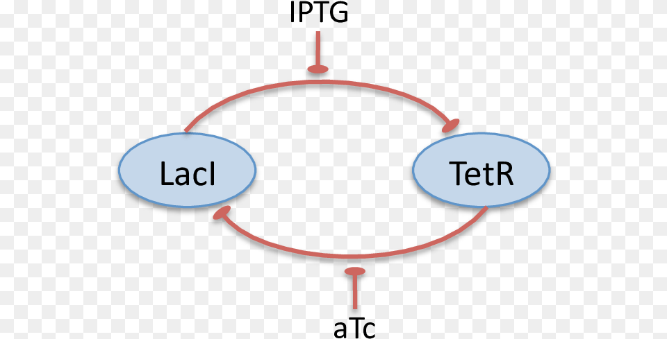 Conceptual Diagram Of Lacitetr Toggle Switch Conceptual Model, Hoop, Astronomy, Eclipse Png Image
