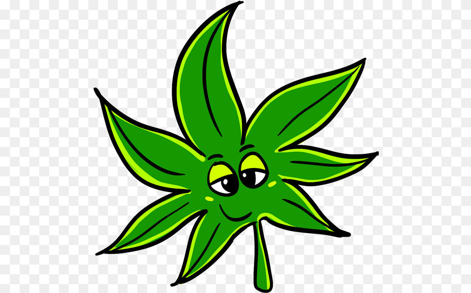 Concerned Citizens Marijuana Leaf Cartoon, Green, Plant, Sea Life, Animal Free Png Download