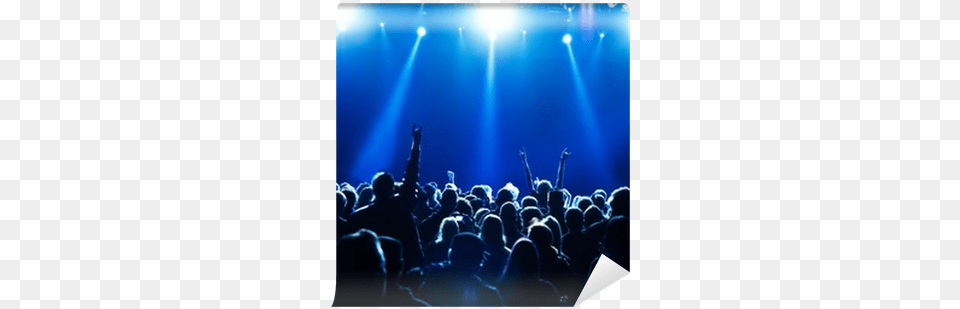 Concert Crowd Concert Crowd, Rock Concert, Lighting, Person, Adult Free Png Download