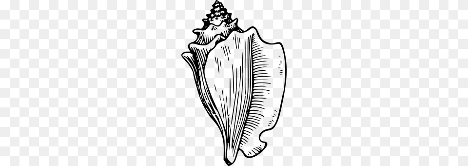 Conch Gray Free Png