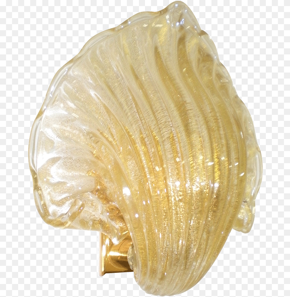 Conch Shell, Animal, Clam, Food, Invertebrate Png