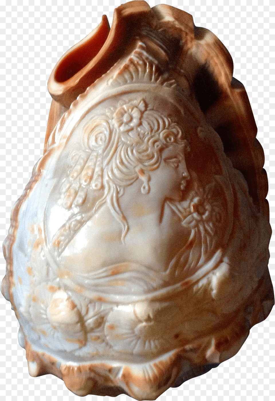 Conch Shell Cameo Vintage Victorian Woman Carved Cameo Retro Conch Shell Lamp, Animal, Seashell, Sea Life, Invertebrate Png