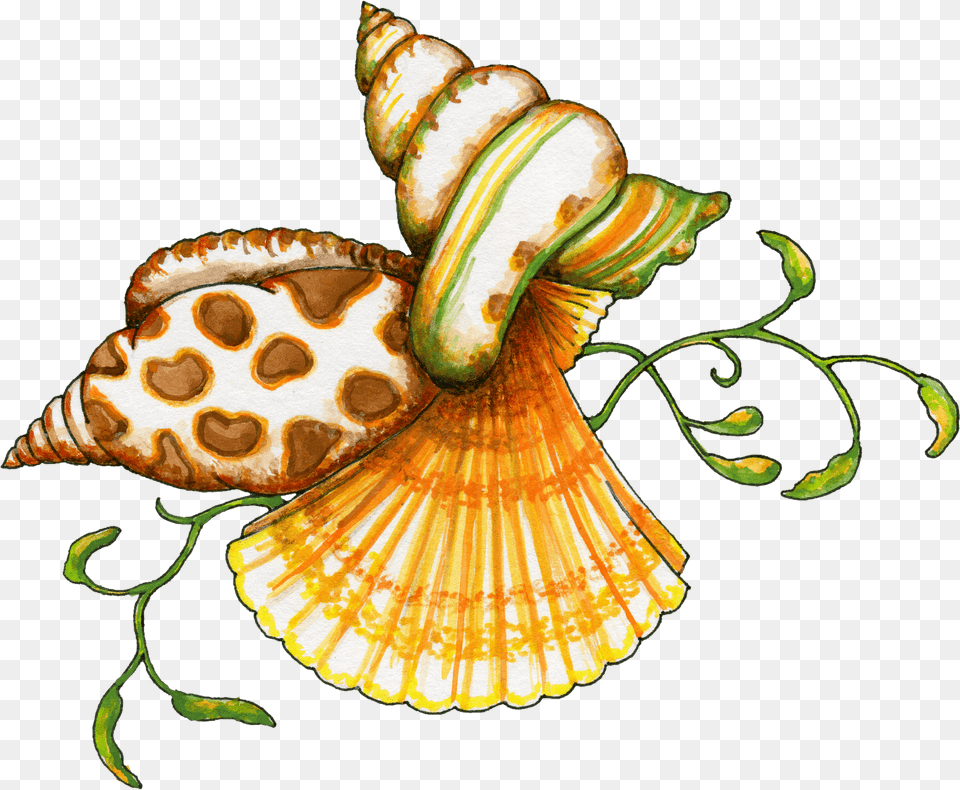 Conch Shell Clipart At Getdrawings Sea Shell Clip Art, Animal, Invertebrate, Sea Life, Seashell Free Png Download