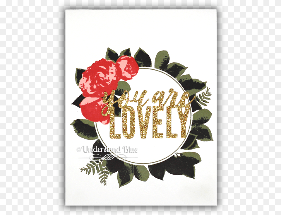Concord And 9th Laurel Frame, Rose, Envelope, Plant, Flower Free Png