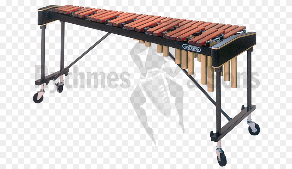 Concorde 6002 Xylophone4 Octaves Transparent Marimba, Musical Instrument, Xylophone, Person Free Png