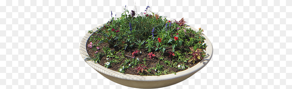 Concrete Flower Planter Overhead View Houseplant, Vase, Soil, Pottery, Potted Plant Free Png