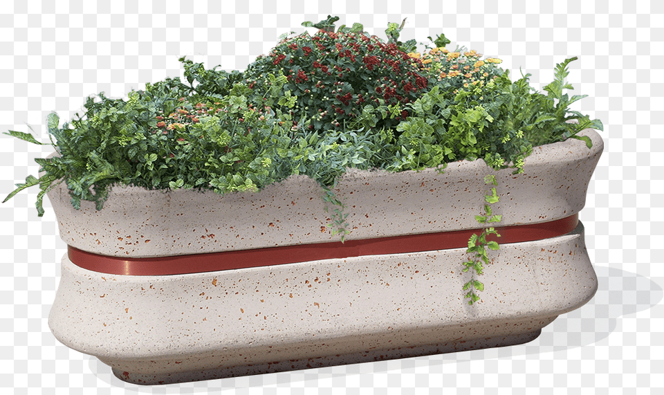 Concrete Oval Planter Model Geban For Urban Furniture, Jar, Plant, Potted Plant, Pottery Png Image