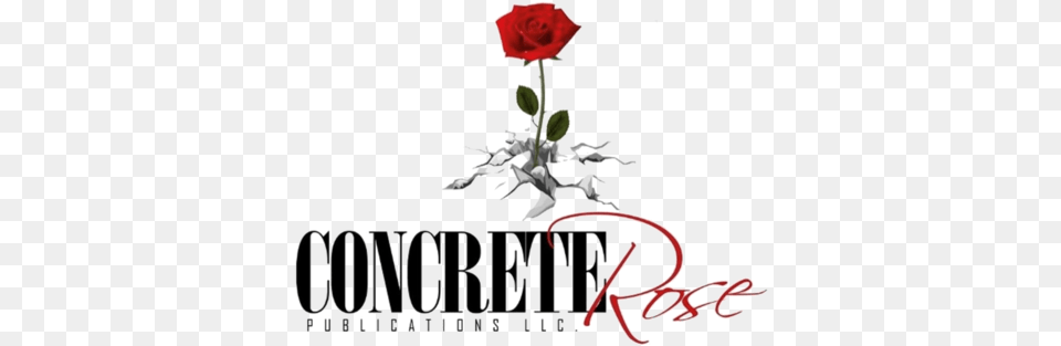 Concrete Rose Publications Rose In Concrete Logo, Flower, Plant, Petal Png