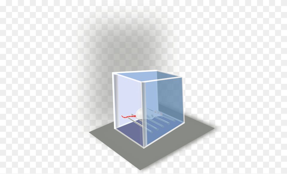 Conditioning Box 534 X Clip Art Free Png