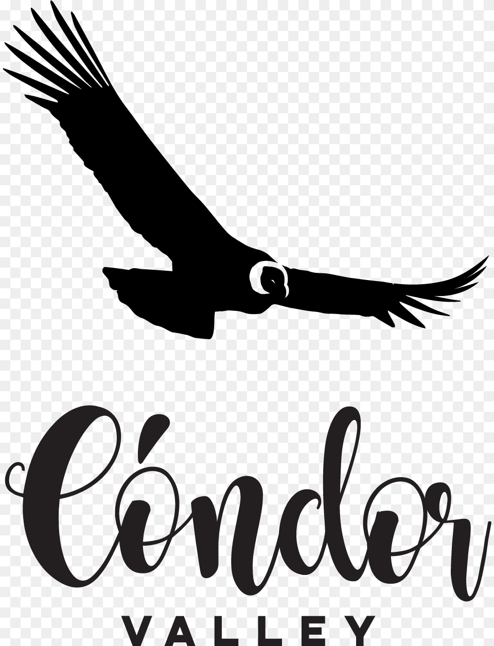 Condor, Animal, Bird, Vulture Free Transparent Png