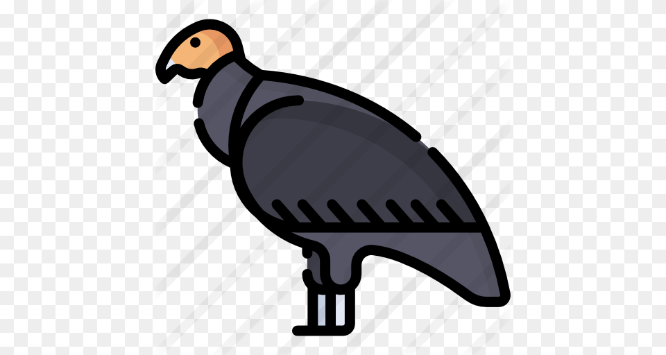 Condor, Animal, Bird, Vulture, Fish Png Image