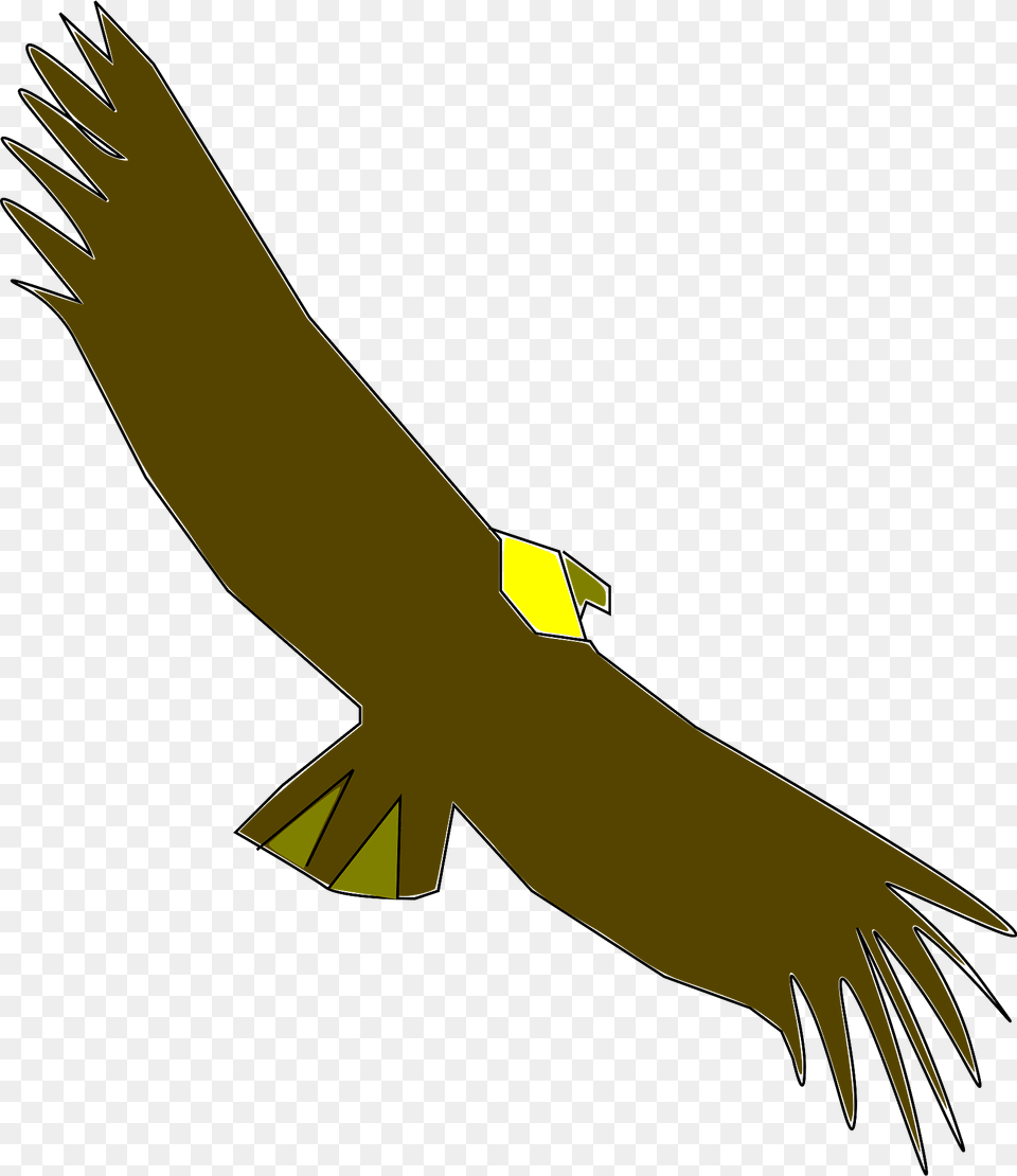 Condor Clipart, Animal, Bird, Vulture, Flying Free Transparent Png