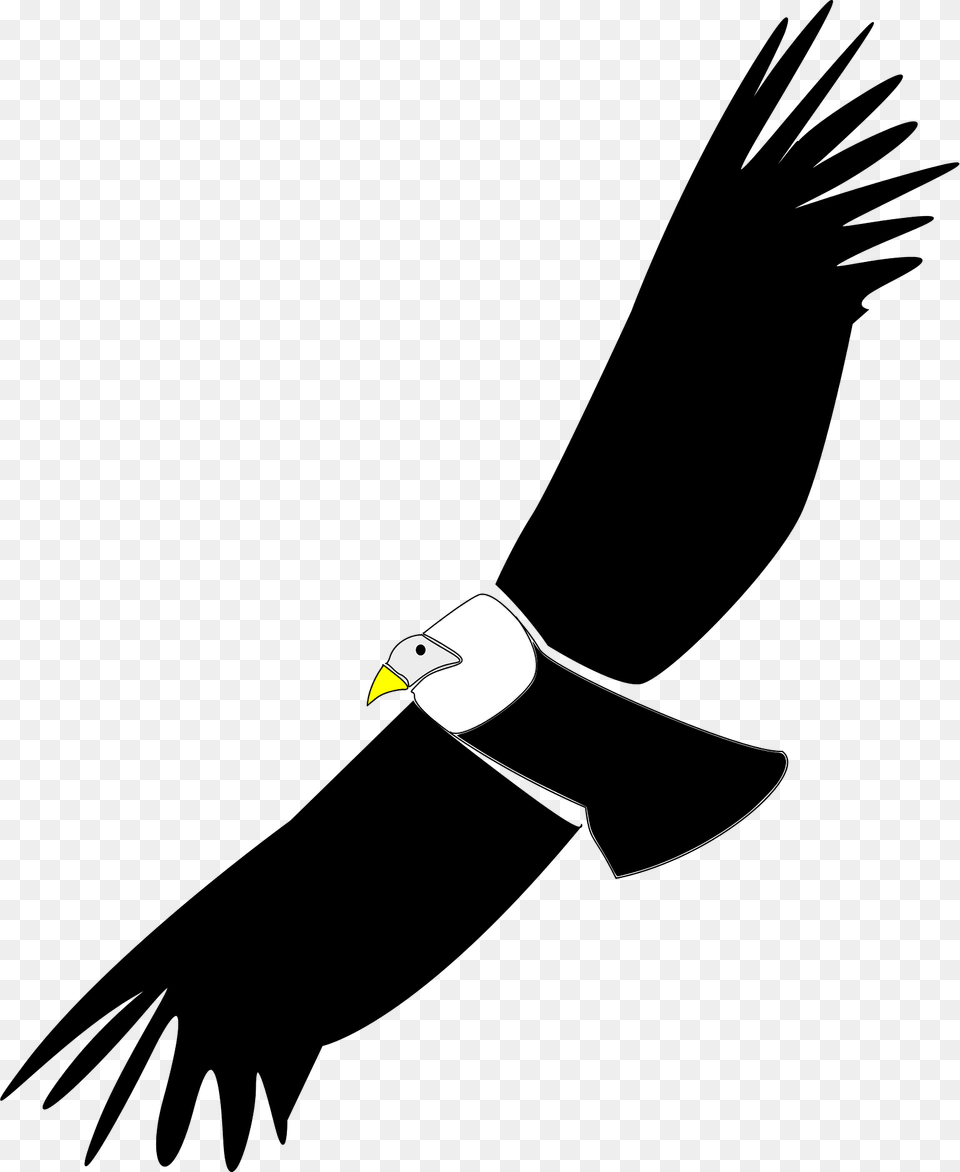 Condor Clipart, Animal, Bird, Vulture, Flying Png Image
