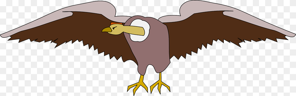 Condor Clipart, Animal, Bird, Vulture, Beak Png