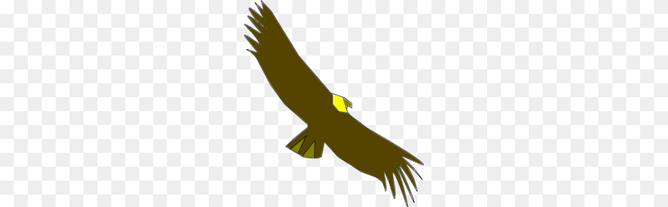 Condor Colombiano Clip Art, Animal, Bird, Vulture, Flying Free Transparent Png