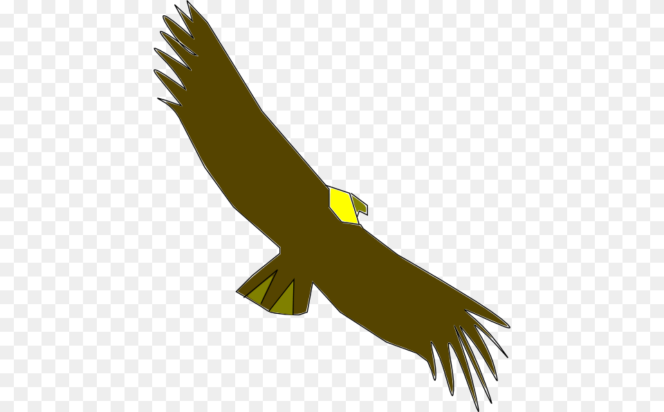 Condor Colombiano Clip Art, Animal, Bird, Vulture, Flying Free Png