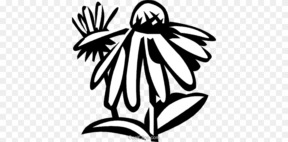 Cone Flower Royalty Vector Clip Art Illustration, Daisy, Plant, Stencil, Animal Free Png Download