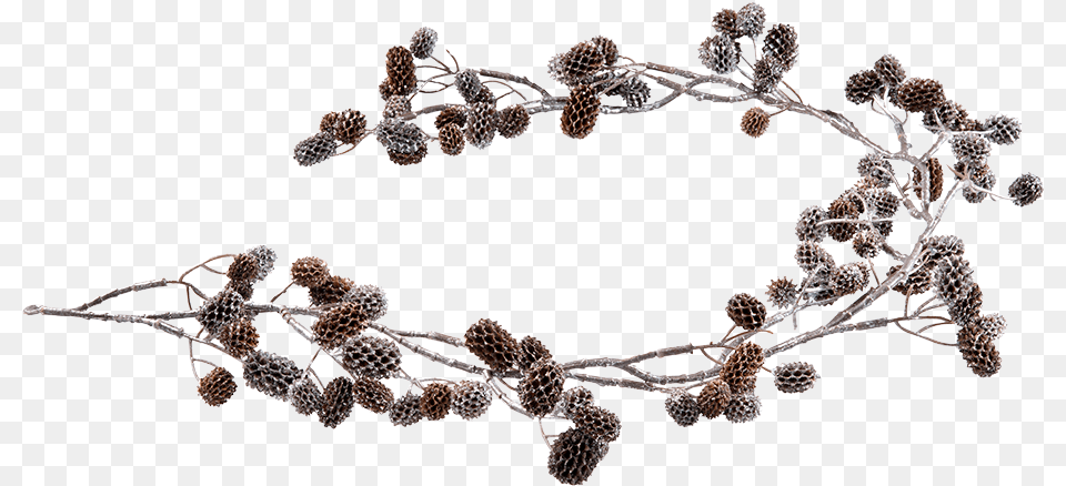 Cone Garland With Silver Necklace, Accessories, Plant, Jewelry, Tree Free Png Download