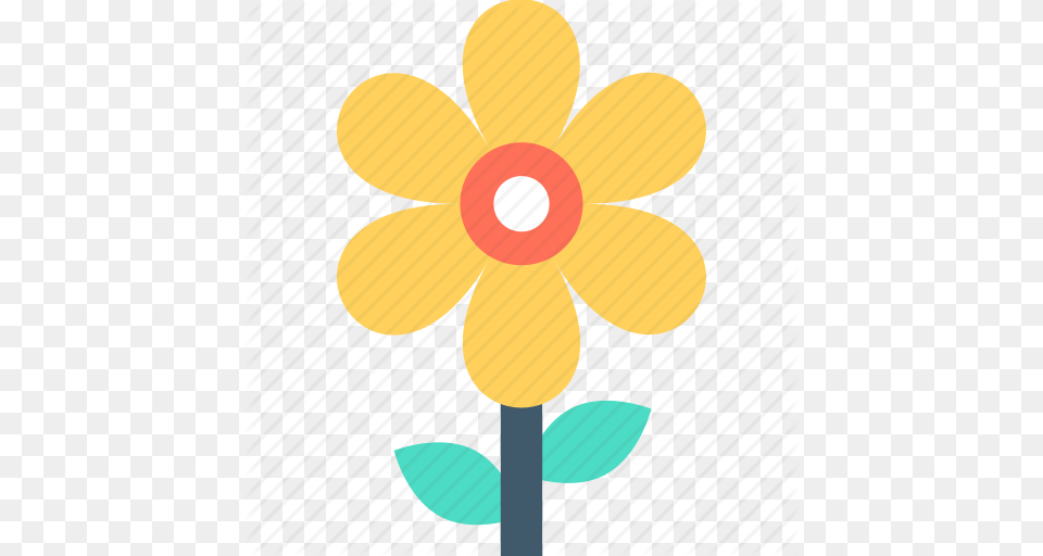 Coneflower Dandelion Flower Goldenrod Sunflower Icon, Anemone, Daisy, Plant, Daffodil Png
