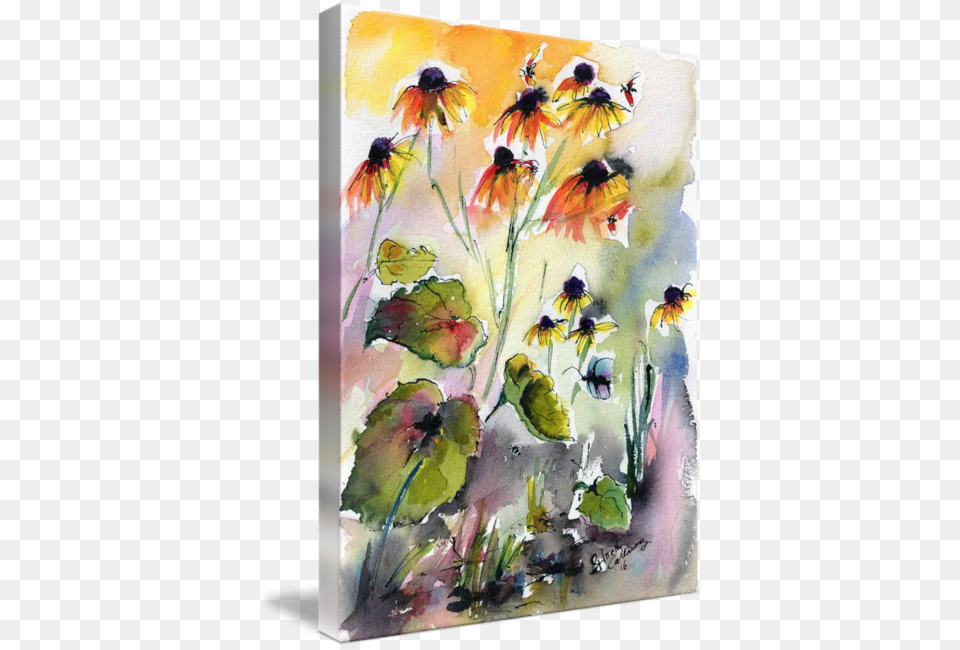 Coneflower Drawing Watercolor Watercolor Painting, Art, Canvas, Modern Art, Flower Free Png Download