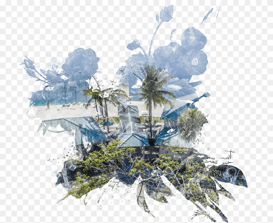 Conference Room Rentals Img Painting, Summer, Water, Tree, Plant Png