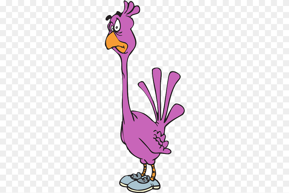 Confused Cartoon Purple Bird Shoes Art Animal Lila Flamingo, Dodo Png Image