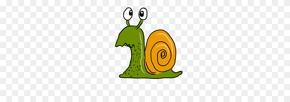 Confused Snail Animal, Invertebrate Free Png Download