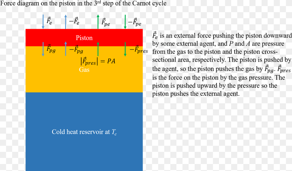 Confusion About Forces In The Work Done On The Piston Diagram, Chart, Plot, Text Free Png Download