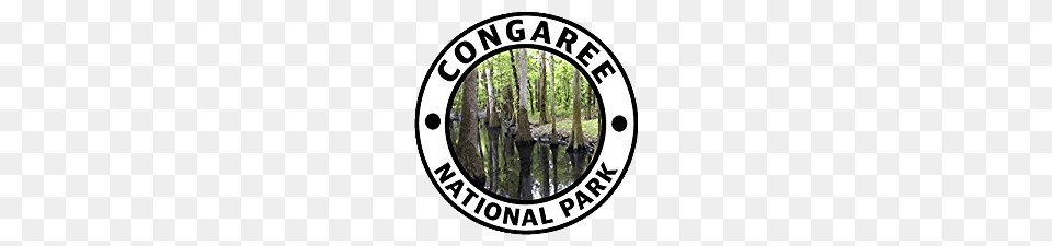 Congaree National Park Round Sticker, Woodland, Vegetation, Tree, Plant Free Png