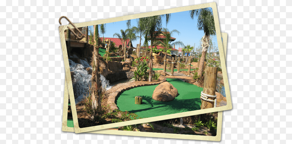 Congo River Mini Golf Best Mini Golf Courses In Tampa Mini Golf Tampa, Fun, Sport, Mini Golf, Leisure Activities Png Image