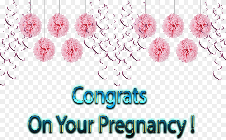 Congrats On Your Pregnancy Images Floral Design, Carnation, Flower, Plant, Rose Free Transparent Png