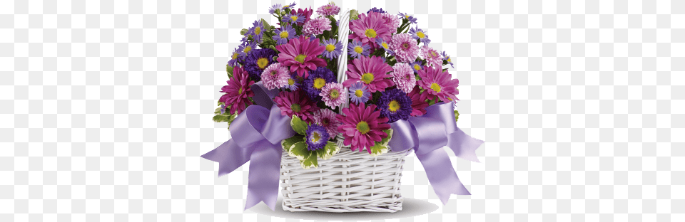 Congratulation Flower All Flower Bouquet, Daisy, Flower Arrangement, Flower Bouquet, Plant Free Transparent Png