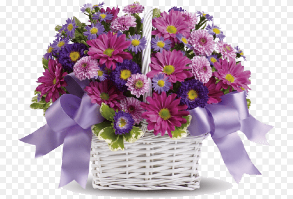 Congratulation Flower Images Daisy Daydreams, Flower Arrangement, Flower Bouquet, Plant, Purple Free Png