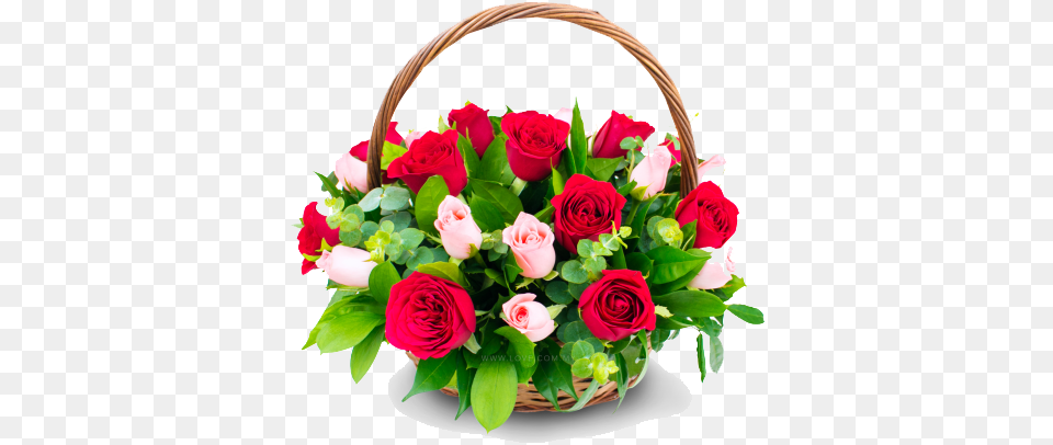 Congratulation Flower Transparent Images All Happy Birthday Dearest Friend Latest, Flower Arrangement, Flower Bouquet, Plant, Rose Free Png