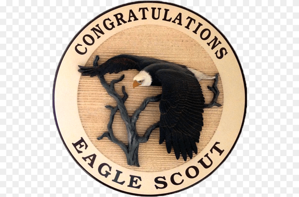 Congratulations Eagle Scout, Animal, Bird, Logo, Bald Eagle Png