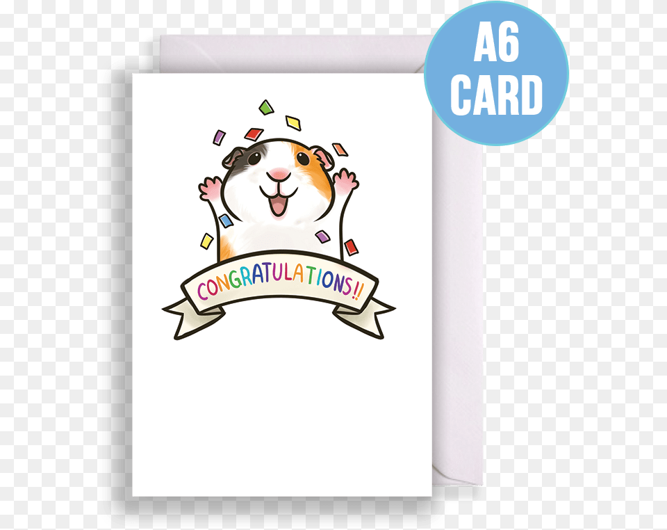 Congratulations Guinea Pig Card Greeting Card, Envelope, Greeting Card, Mail, Animal Free Png Download