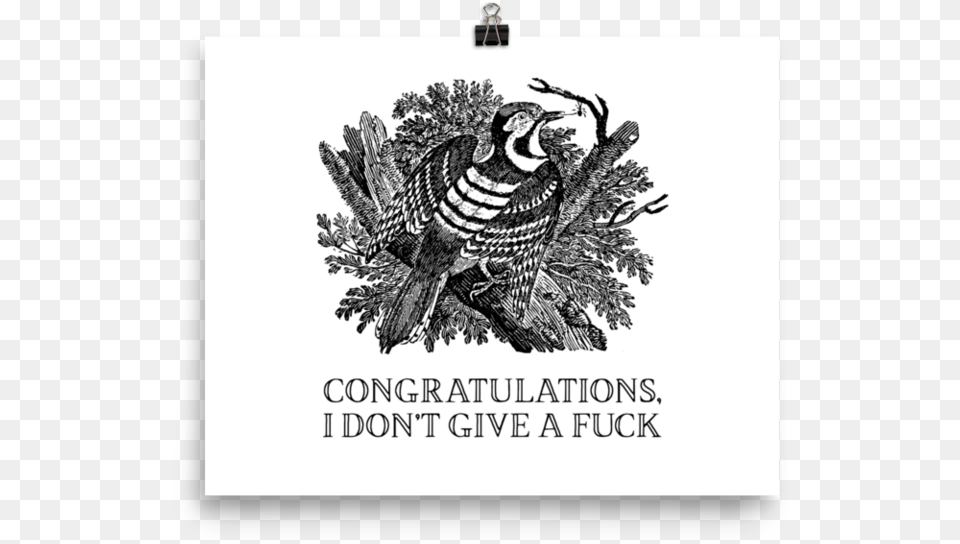 Congratulations I Don T Give A Fuck Postersrcset Thomas Bewick, Animal, Bird Free Png