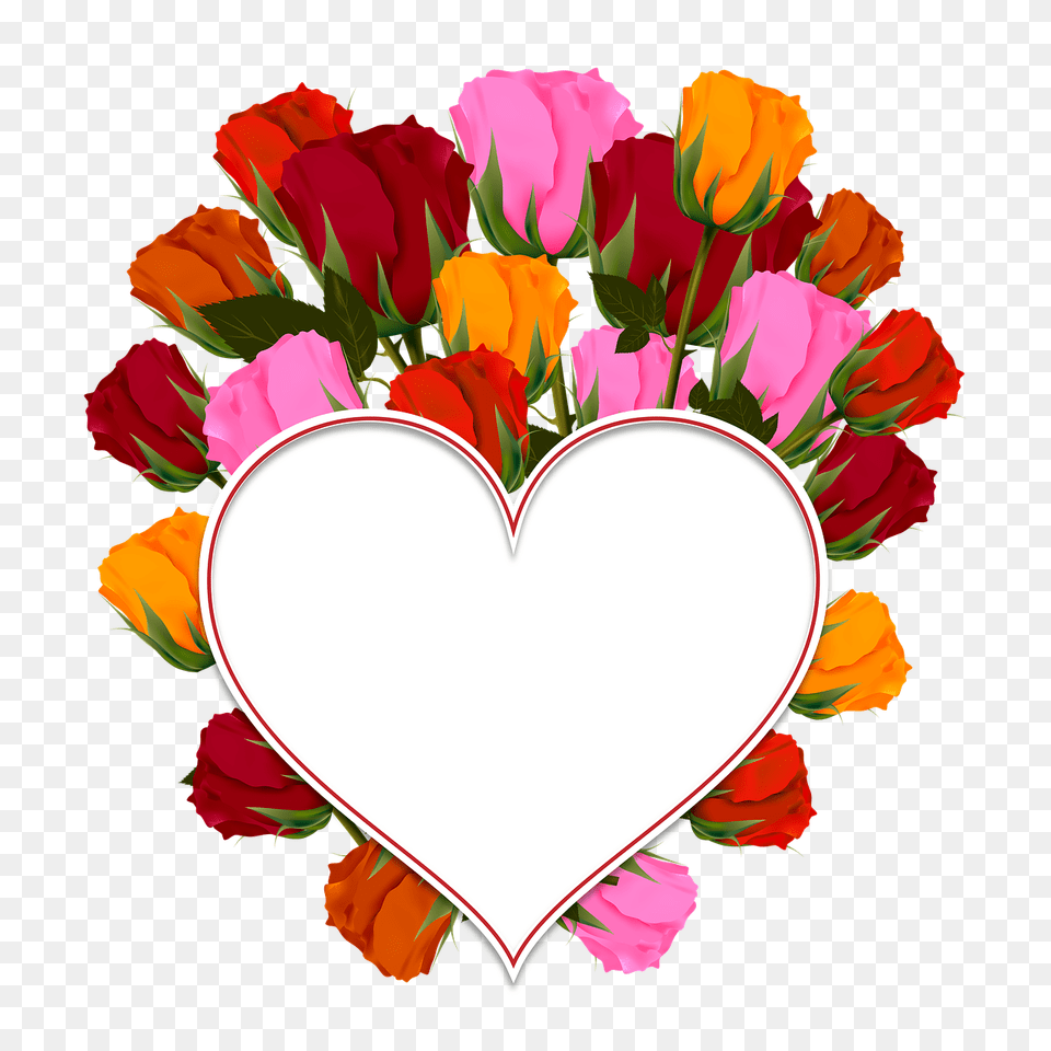 Congratulations Images With Flowers Collection, Plant, Flower, Flower Arrangement, Flower Bouquet Png Image