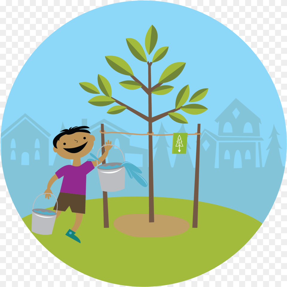 Congratulations Plant A Planting Trees Clipart, Photography, Potted Plant, Baby, Person Free Transparent Png