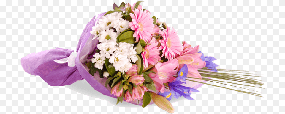 Congratulations Transparent Congratulations Images With Flowers, Flower, Flower Arrangement, Flower Bouquet, Plant Png