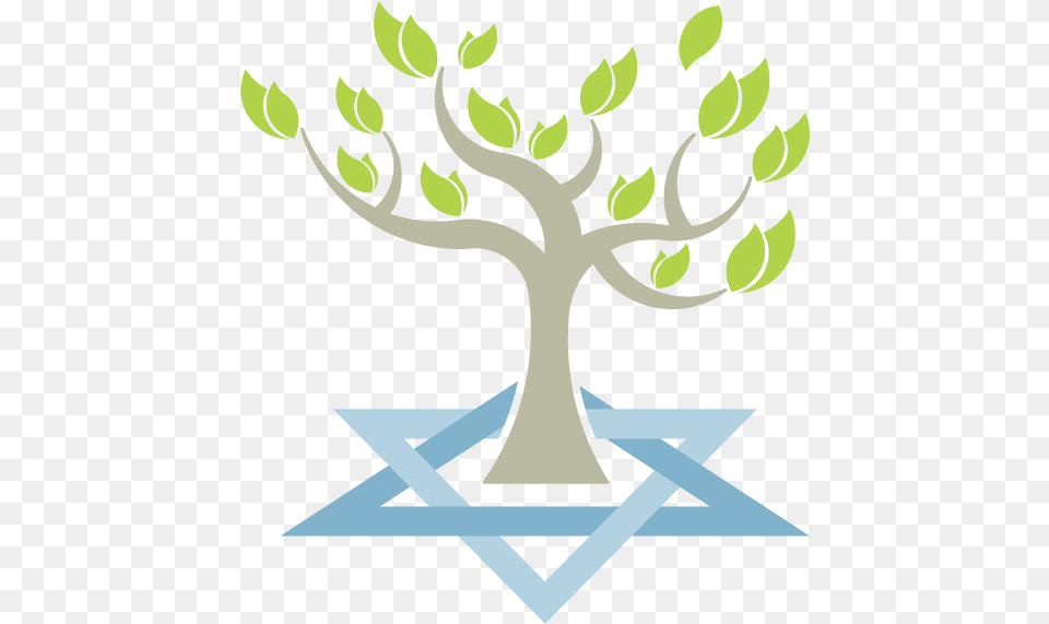Congregation Beth Tikvah Tree Of Life Jewish Star Tree Of Life Jewish Star, Plant, Potted Plant, Leaf, Animal Free Transparent Png
