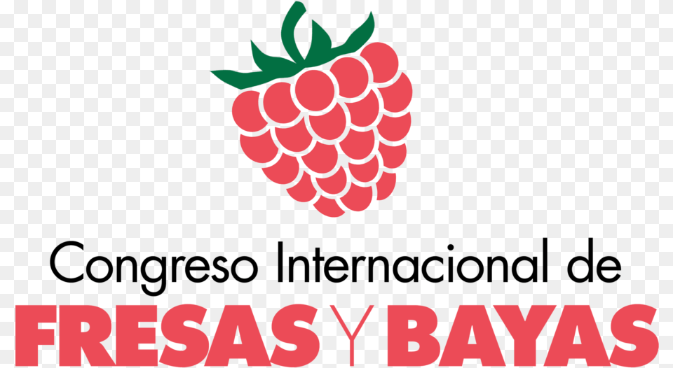 Congreso Internacional De Bayas Y Fresas Anadolu Hayat Emeklilik As, Berry, Food, Fruit, Plant Free Png Download