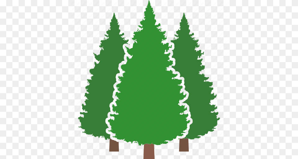 Conifer Evergreen Forest Jungle Pine Tree Trees Icon, Fir, Green, Plant Free Png Download