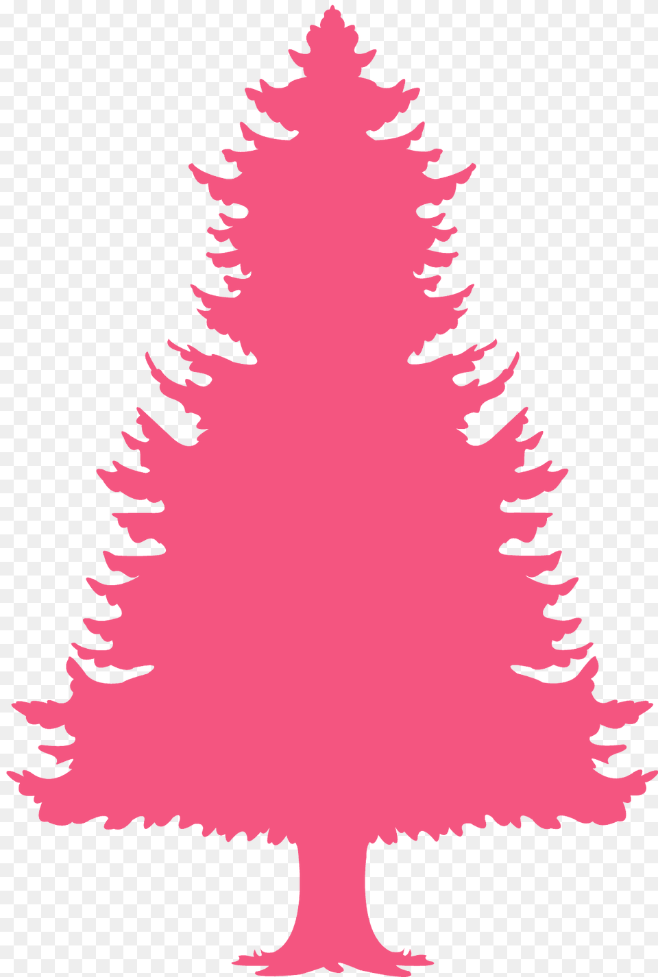 Conifer Tree Silhouette, Plant, Person, Fir, Christmas Free Png