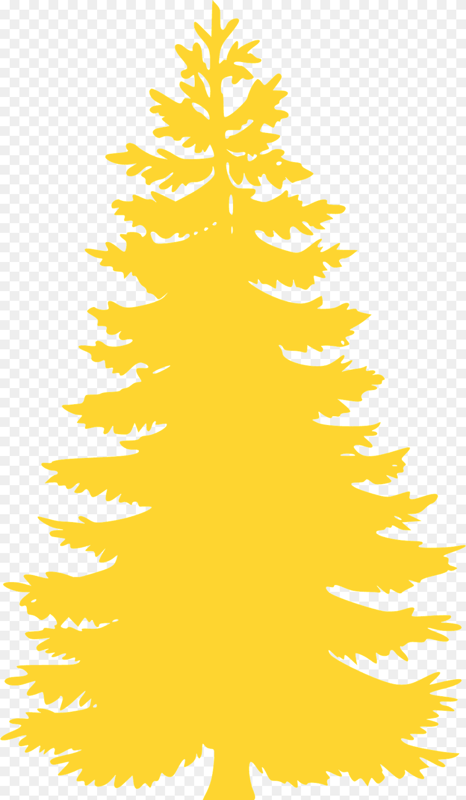 Conifer Tree Silhouette, Plant, Fir, Animal, Fish Free Png