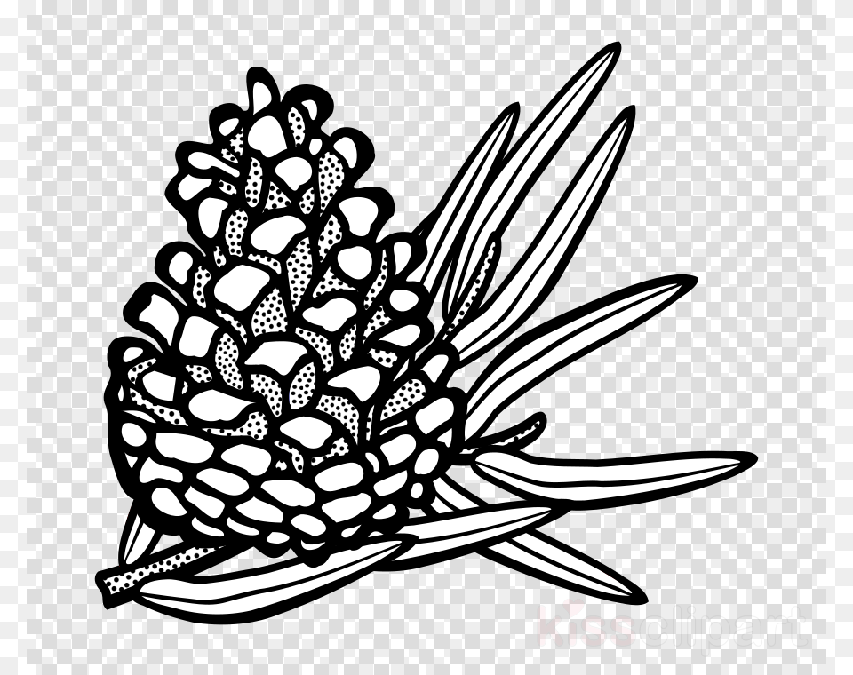 Coniferous Black And White Clipart, Food, Fruit, Pineapple, Plant Free Transparent Png
