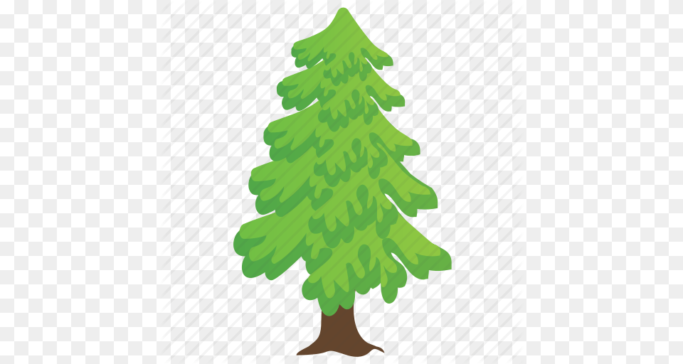 Coniferous Tree Fir Tree Nature Pine Tree Poplar Tree Icon, Plant, Person, Christmas, Christmas Decorations Free Png Download