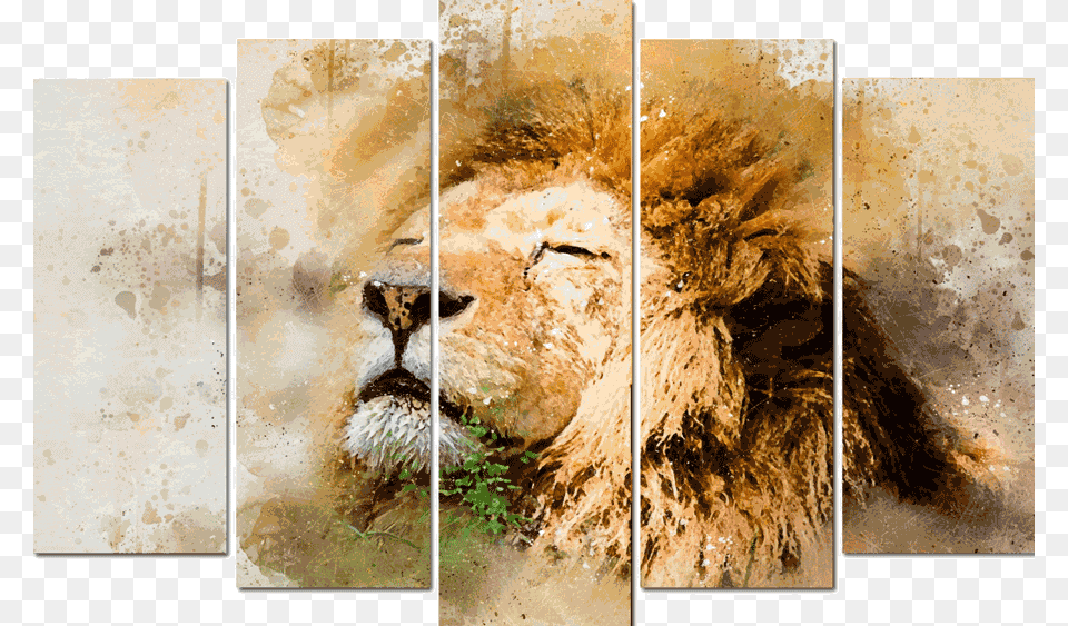 Conjunto De Quadros Telas Decorativas Leo Kit Com Lion Spirit Animal, Mammal, Wildlife, Art, Collage Png